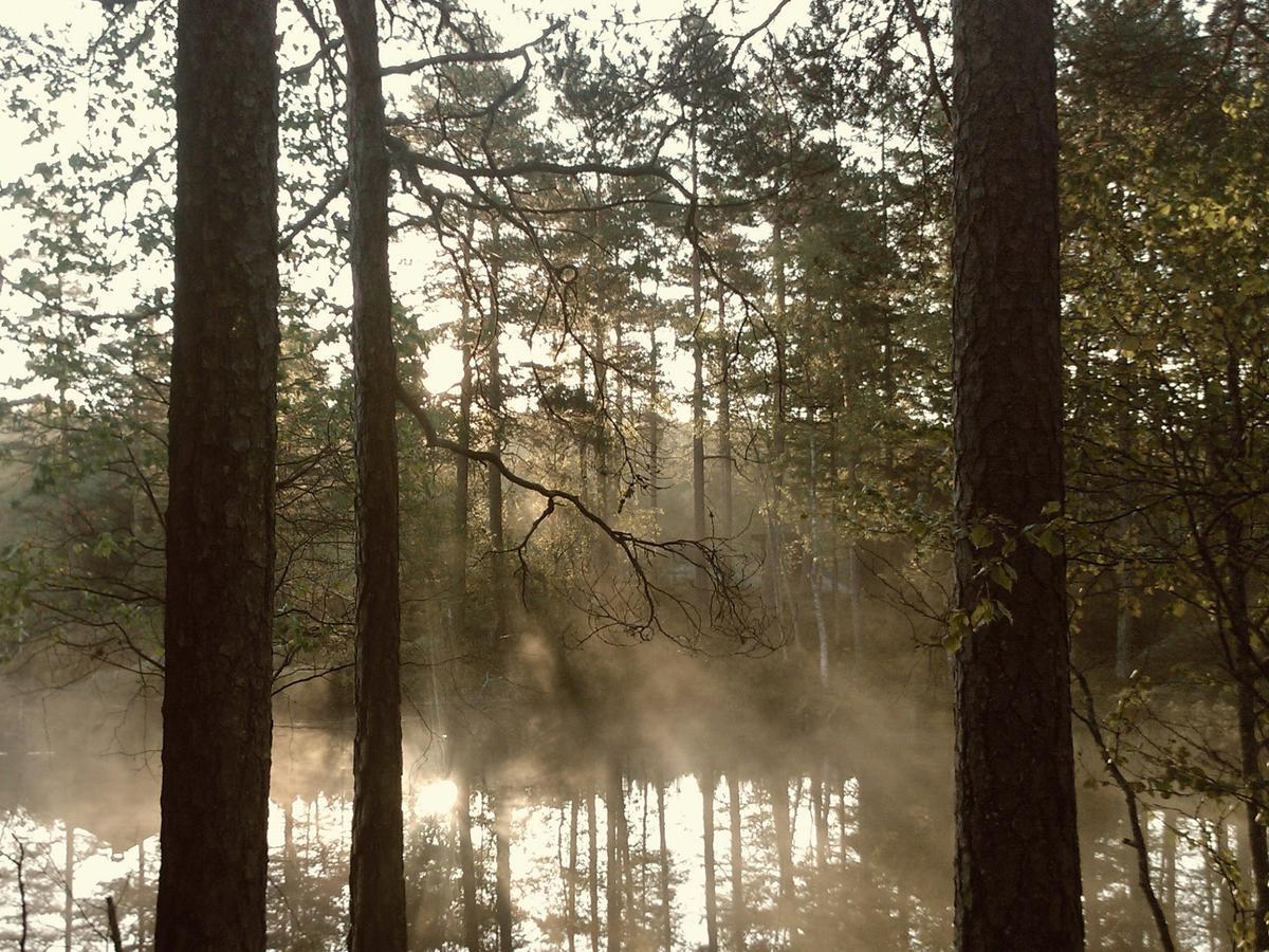 Ecolodge Le Bruit De L'Eau Сант-Контан-ан-Турмо Екстериор снимка